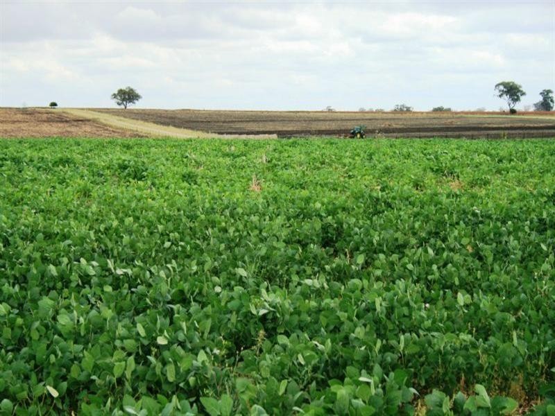 Allawa 734 Lecoin Road, Inverell NSW 2360