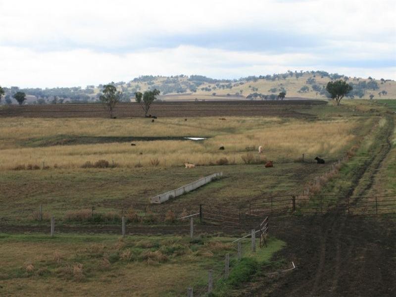 Allawa 734 Lecoin Road, Inverell NSW 2360