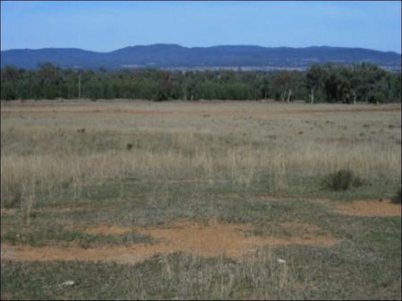 Bingara NSW 2404