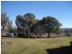 Inverell NSW 2360
