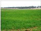 Delungra NSW 2403
