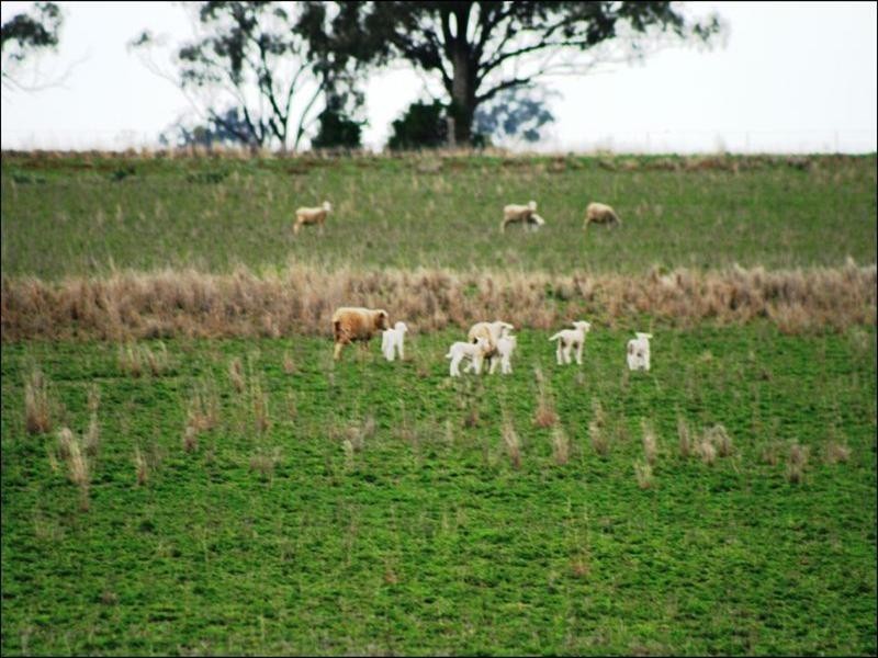 Delungra NSW 2403