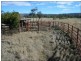 “Sunnyside” Upper Bingara Road, Bingara NSW 2404