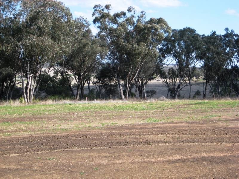 Inverell NSW 2360