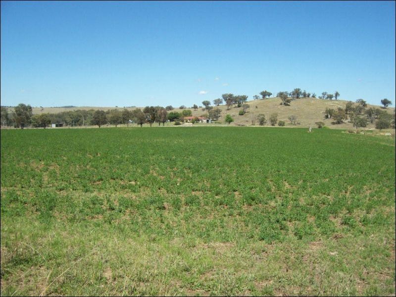 Inverell NSW 2360