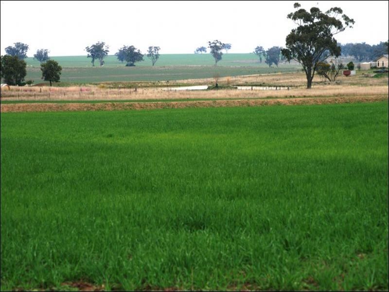 Delungra NSW 2403