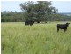 Inverell NSW 2360