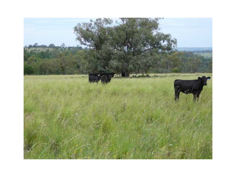 Inverell NSW 2360