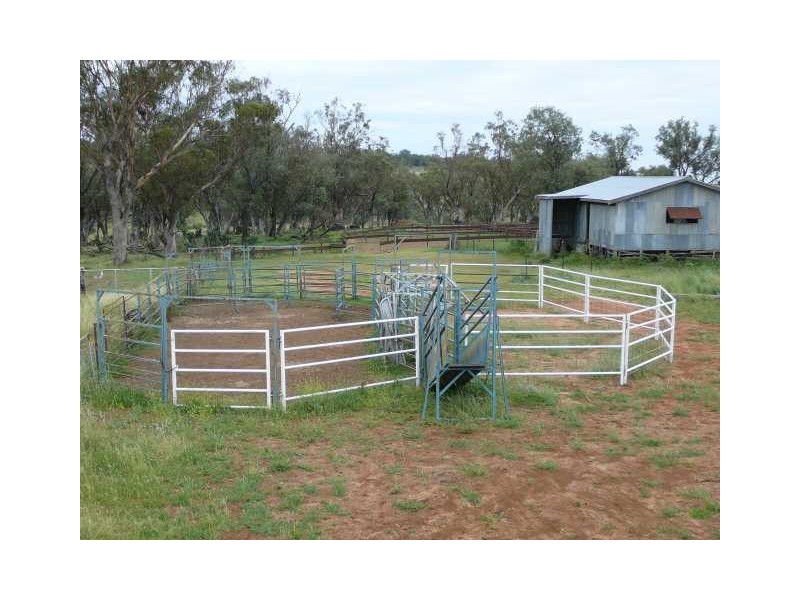 Inverell NSW 2360