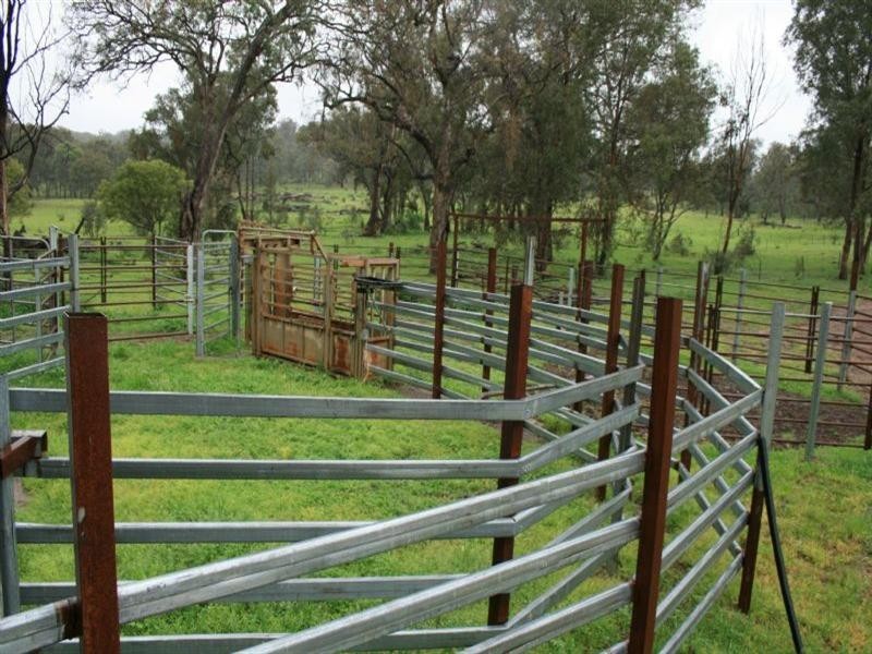 122 Toowong Roseneath Lane, Inverell NSW 2360