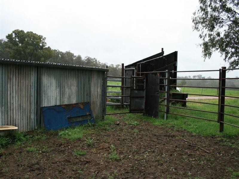 122 Toowong Roseneath Lane, Inverell NSW 2360