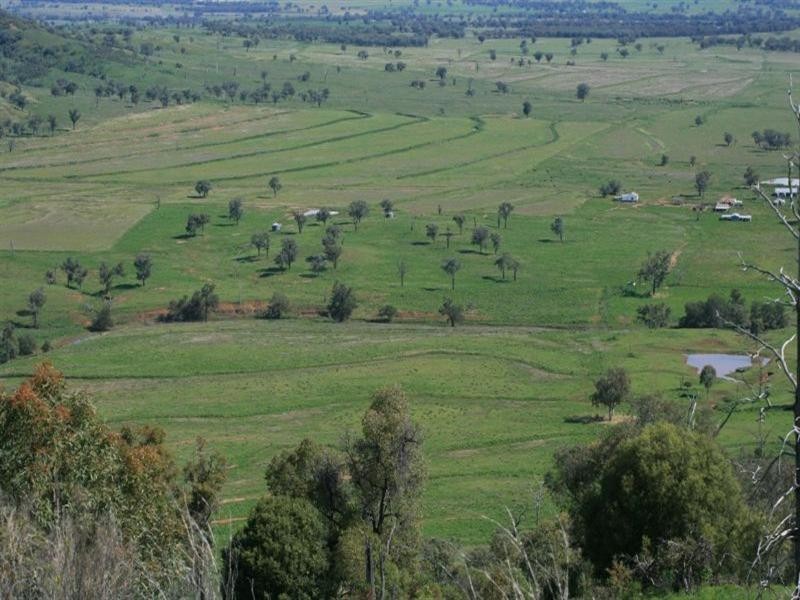 Inverell NSW 2360