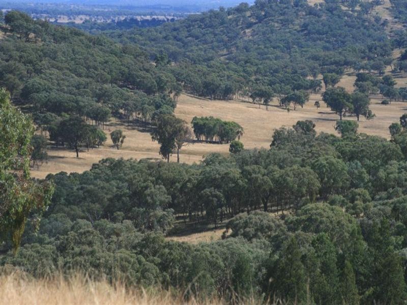 Waverley Bakers Creek Road, Bundarra NSW 2359
