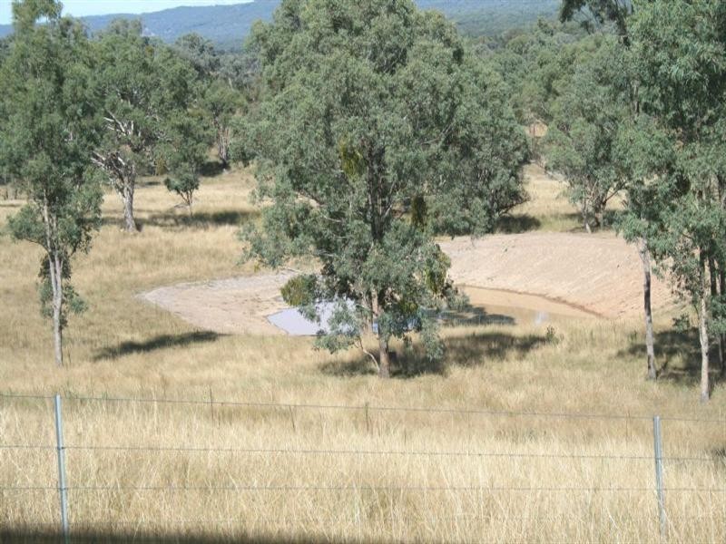 Waverley Bakers Creek Road, Bundarra NSW 2359