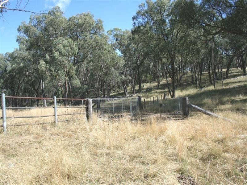 Waverley Bakers Creek Road, Bundarra NSW 2359