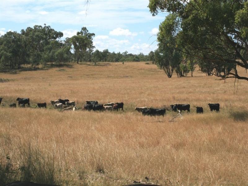 Waverley Bakers Creek Road, Bundarra NSW 2359