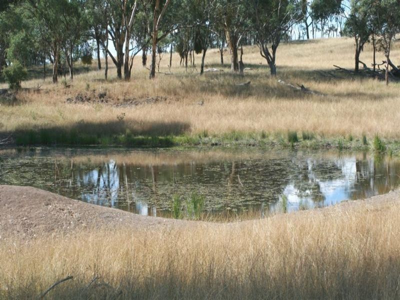Waverley Bakers Creek Road, Bundarra NSW 2359