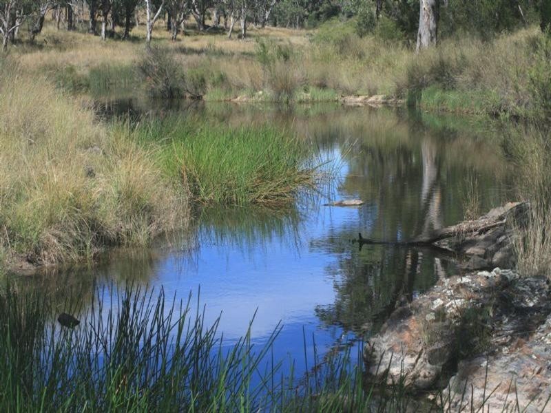 Waverley Bakers Creek Road, Bundarra NSW 2359