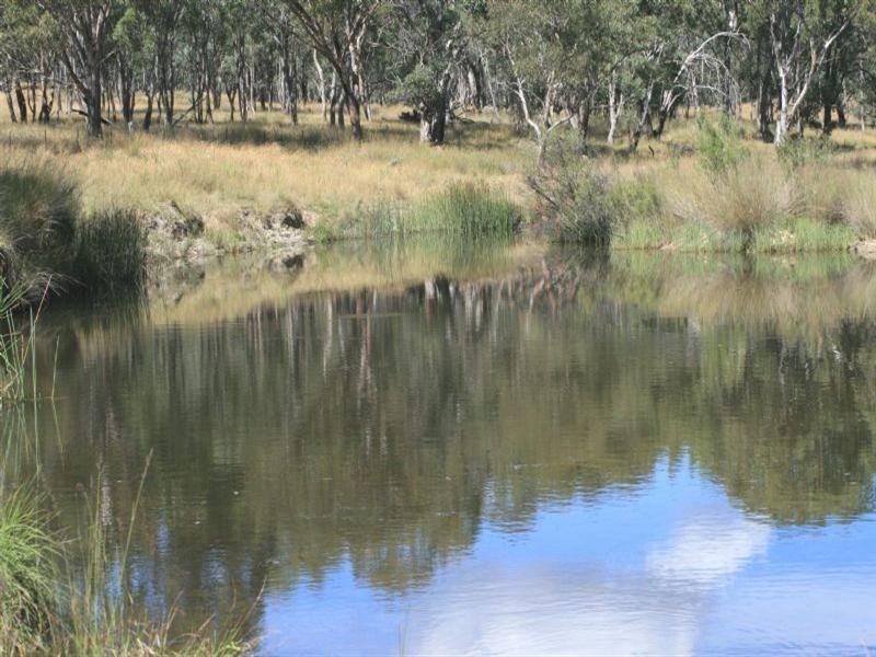 Waverley Bakers Creek Road, Bundarra NSW 2359