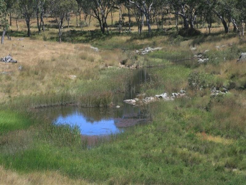 Waverley Bakers Creek Road, Bundarra NSW 2359