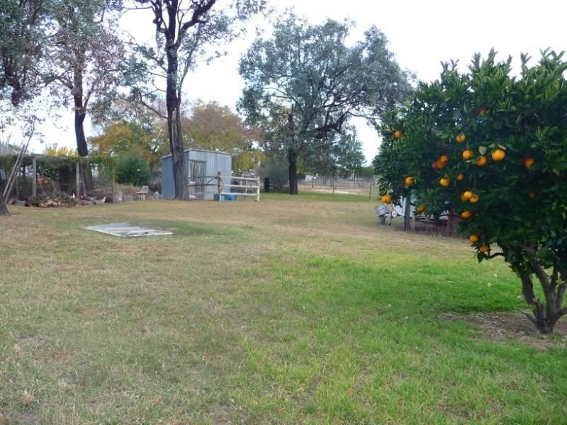 10 Bukkulla Street, Ashford NSW 2361