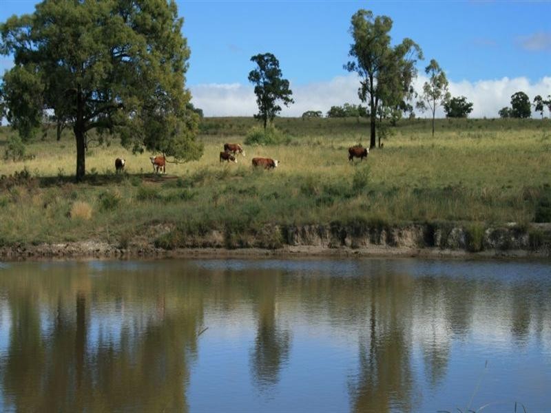 Collyton Adams Scrub Road, Delungra NSW 2403