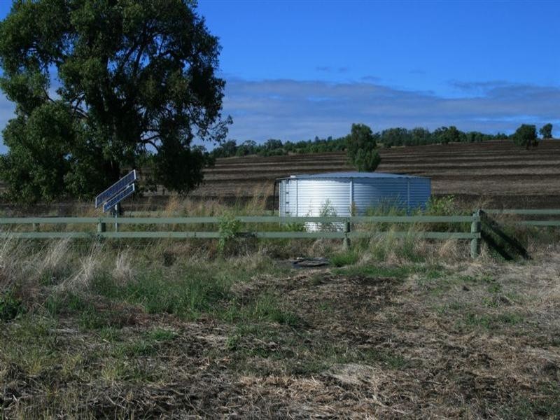 Collyton Adams Scrub Road, Delungra NSW 2403