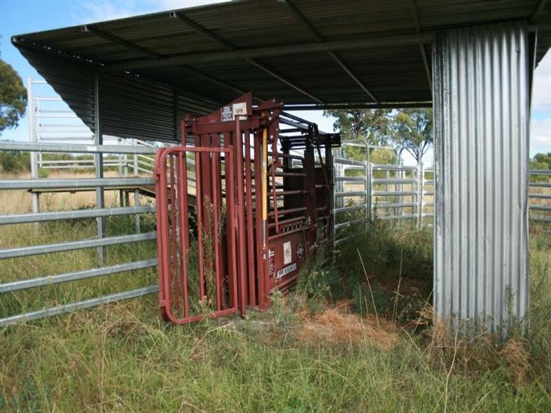 Collyton Adams Scrub Road, Delungra NSW 2403