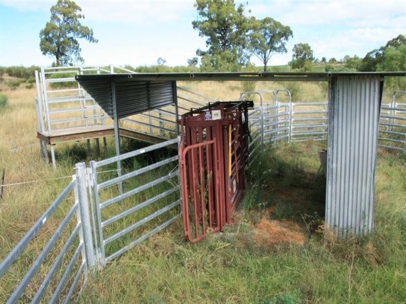 Collyton Adams Scrub Road, Delungra NSW 2403