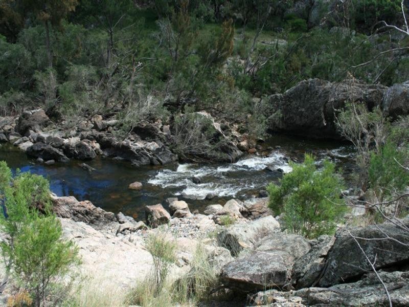 2976 Jimargie, Ashford Road, Emmaville NSW 2371