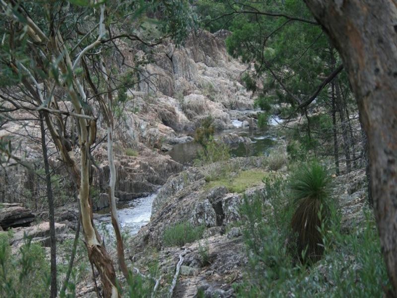 2976 Jimargie, Ashford Road, Emmaville NSW 2371