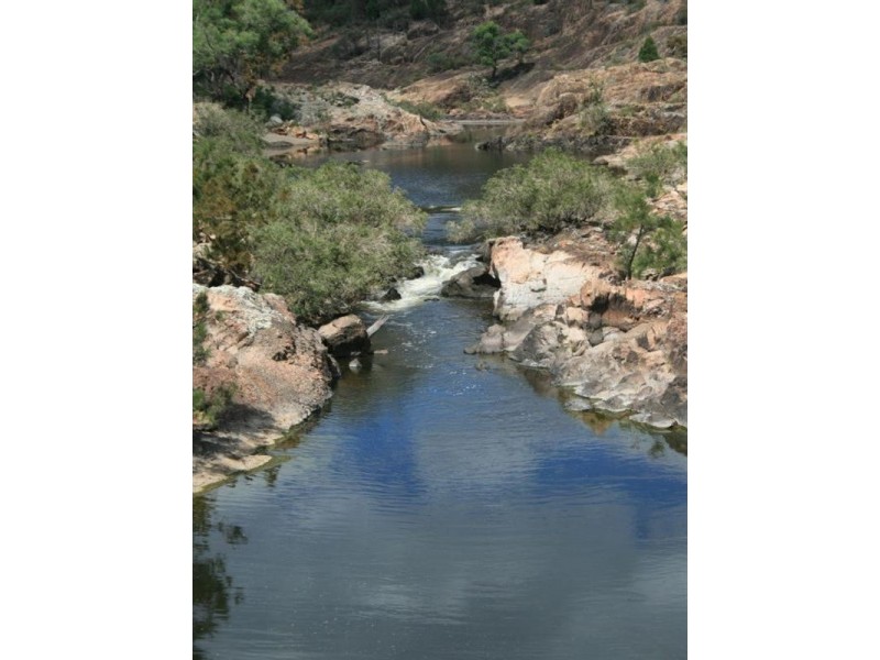 2976 Jimargie, Ashford Road, Emmaville NSW 2371