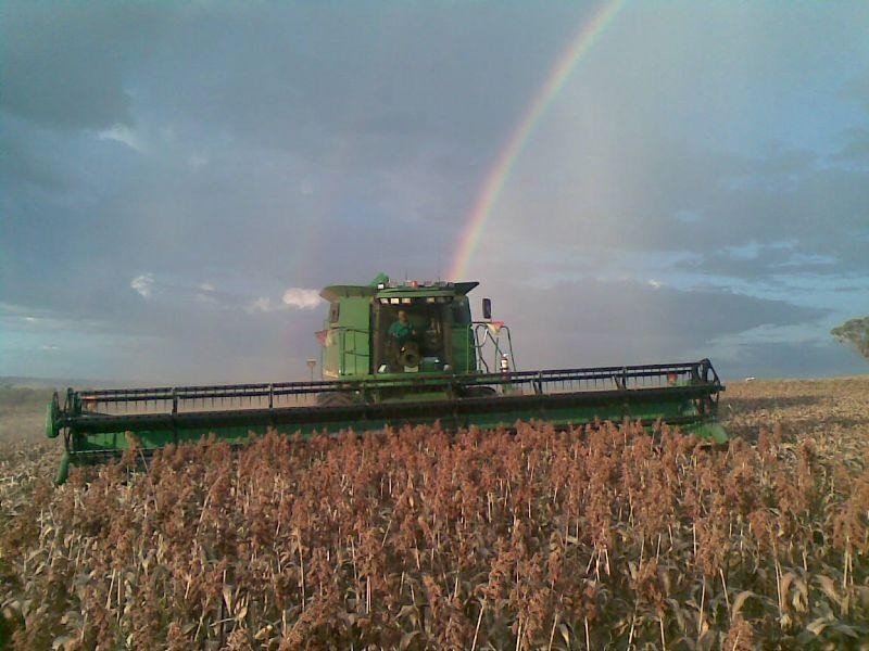 Bella 137 Gragin Peak Road, Delungra NSW 2403