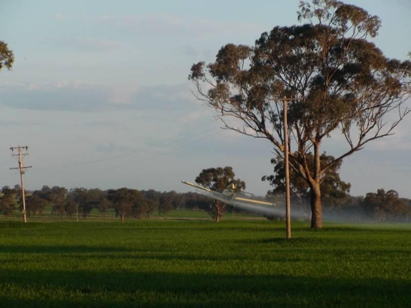 Bella 137 Gragin Peak Road, Delungra NSW 2403