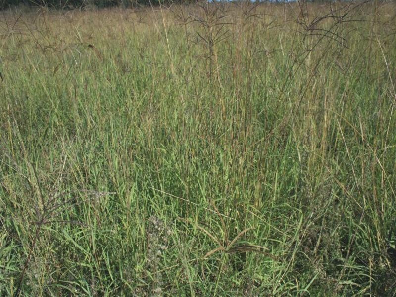 Water Valley 711 Mount Russell Road, Inverell NSW 2360