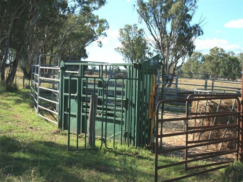 Water Valley 711 Mount Russell Road, Inverell NSW 2360