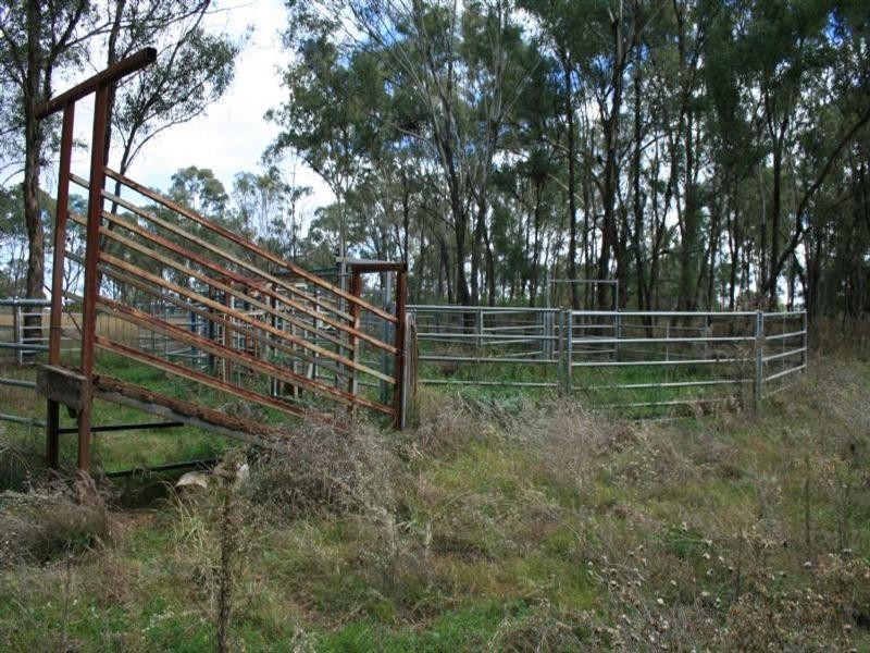 275 Elsmore Road, Inverell NSW 2360