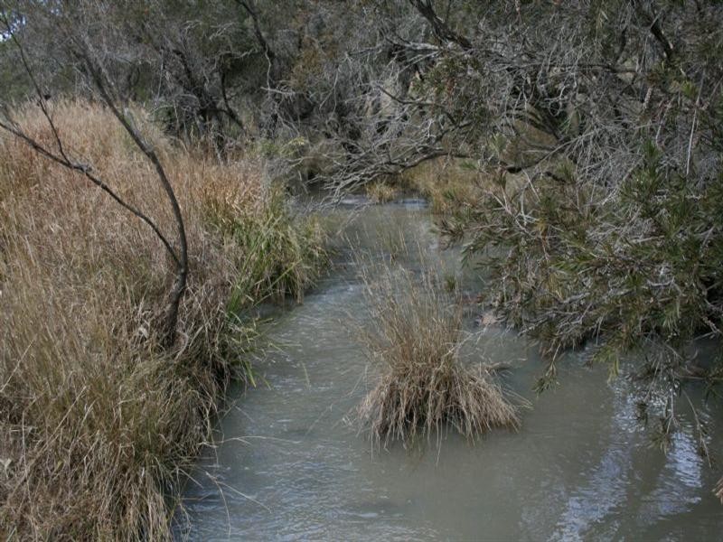 Larapinta Nullamanna Road, Inverell NSW 2360