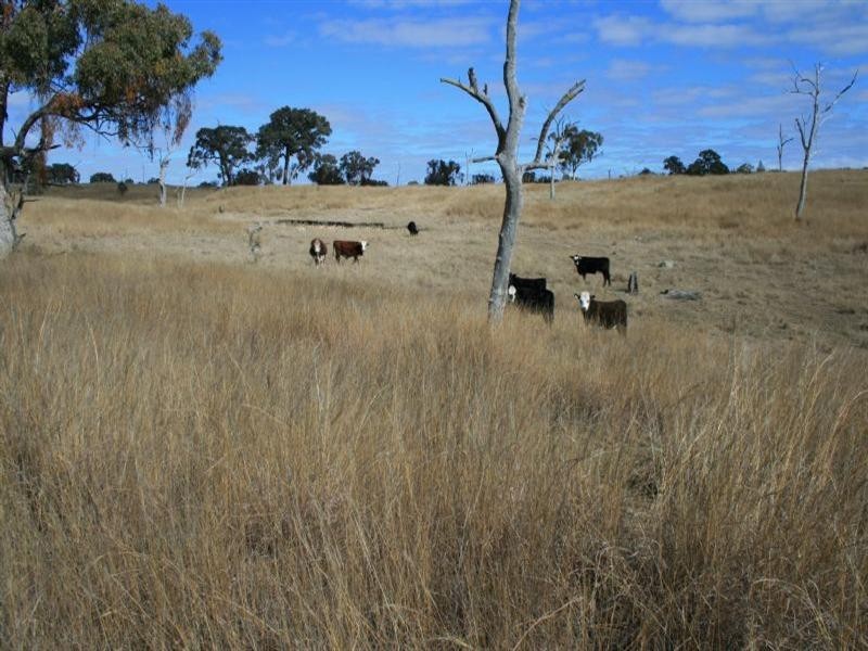 Larapinta Nullamanna Road, Inverell NSW 2360