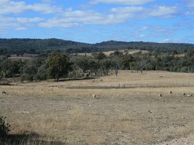 Larapinta Nullamanna Road, Inverell NSW 2360