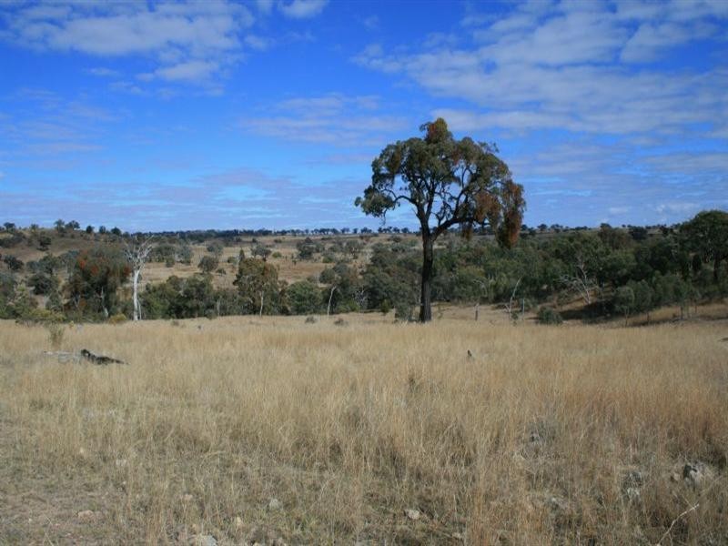 Larapinta Nullamanna Road, Inverell NSW 2360