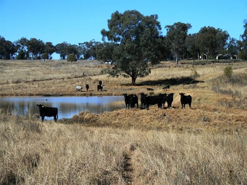 Nullamanna NSW 2360