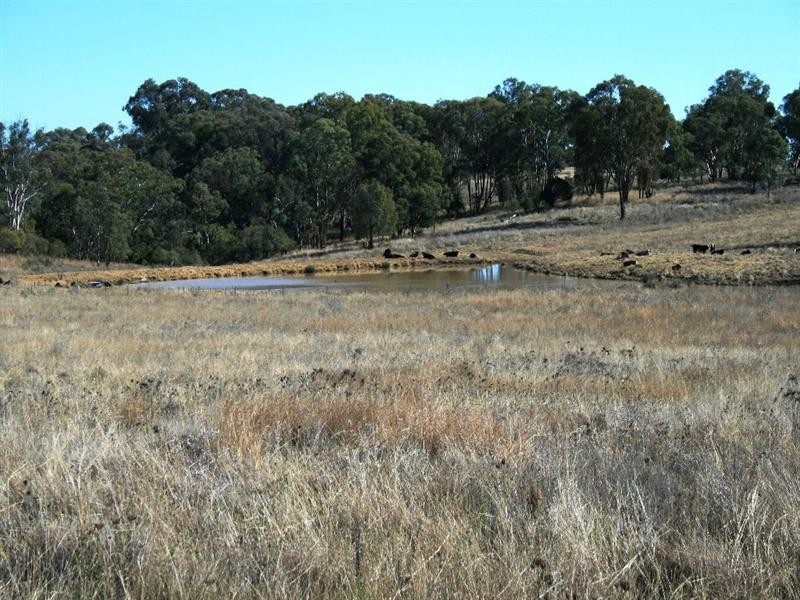 Nullamanna NSW 2360