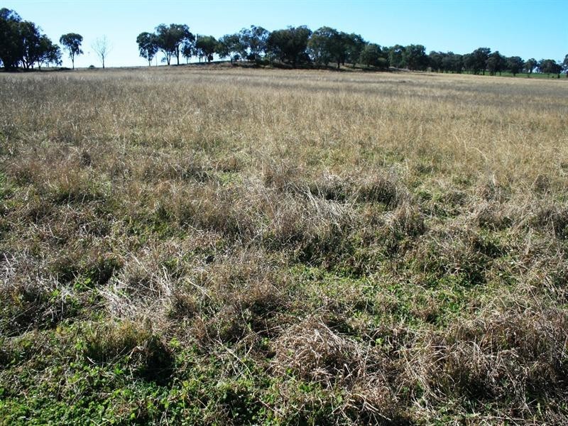 Nullamanna NSW 2360