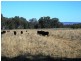 Nullamanna NSW 2360
