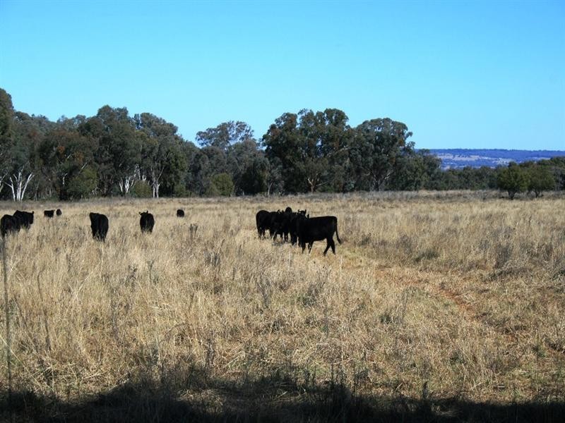 Nullamanna NSW 2360