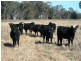 Nullamanna NSW 2360