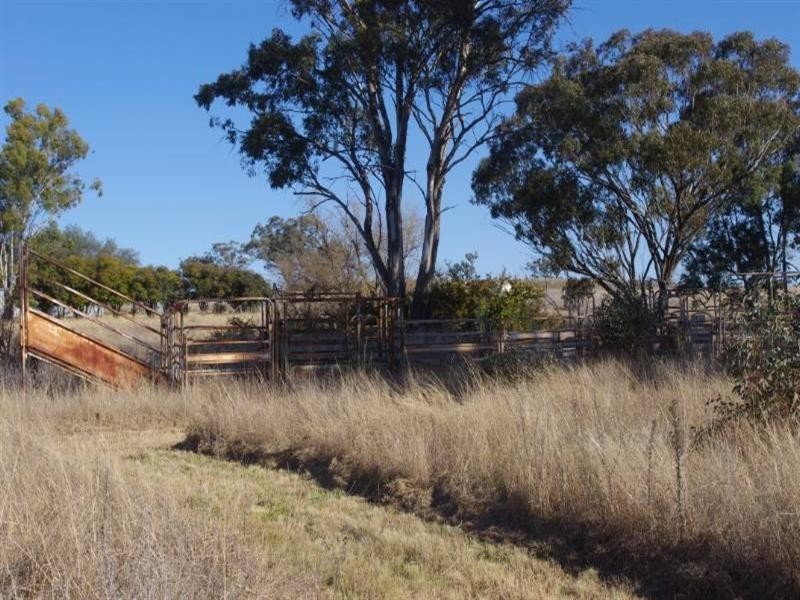 Willandra 1193 Yetman Road, Inverell NSW 2360