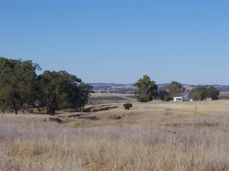 Willandra 1193 Yetman Road, Inverell NSW 2360