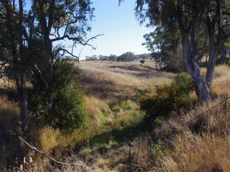 Willandra 1193 Yetman Road, Inverell NSW 2360